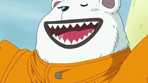 海贼王:出海必备萌宠贝波与乔巴,太可爱了!