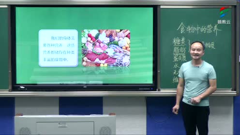 新教科版四年级科学上册 第二单元 2.7 食物在口腔里的变化