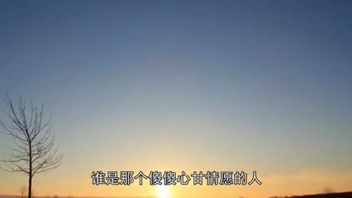 愚爱欢子 腾讯视频