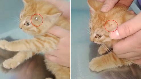 腾讯视频