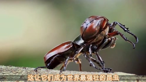 腾讯视频