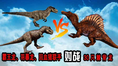 腾讯视频