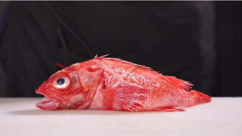 吃炉端烧的"鱼王"金吉鱼,888元的"天价",上桌后我彻底服了