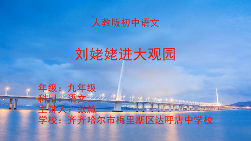 九年级语文上册24 刘姥姥进大观园