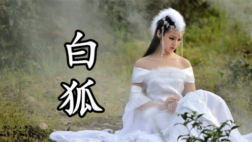 陈瑞一首《白狐》,讲述一段跨越千年的人妖恋,听一遍哭一遍!