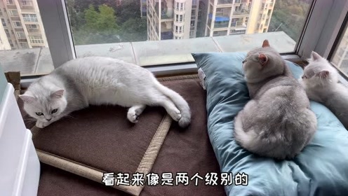 渐层色染发 腾讯视频