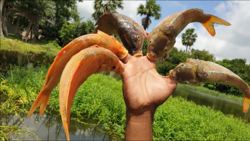 牛人徒手抓鱼,五根手指当鱼钩,这操作太牛了吧!