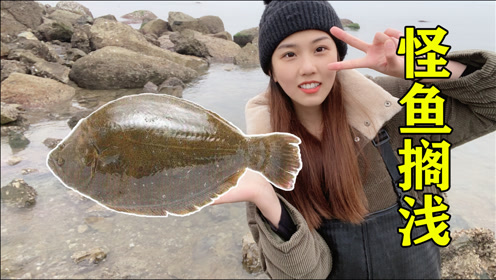 小双赶海发现一条怪鱼搁浅,不顾形象在水中狂追,这姑娘太猛了