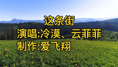 冷漠,云菲菲一首《这条街》经典怀旧老歌,好听极了