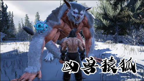 腾讯视频