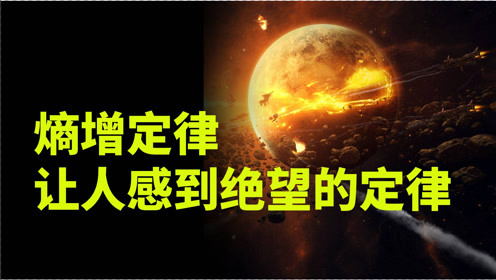 向死而生——以负熵续命