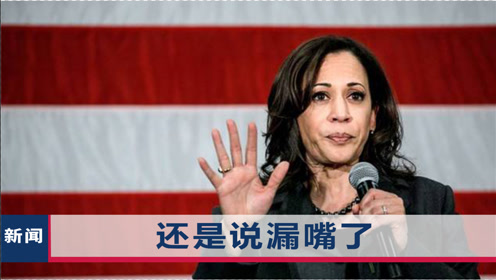 不再遮掩真实目的,美国副总统说漏嘴了,称新的"战争"即将到来