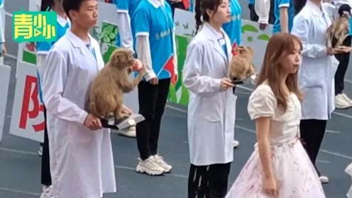 生物 标本制作 腾讯视频