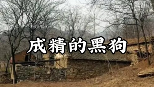 民间故事《成精的黑狗》