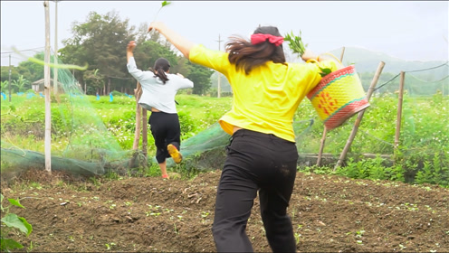 拉起地笼一看太干净了,生气又无奈上传者:林家渔妹时 间:2020-05-09渔