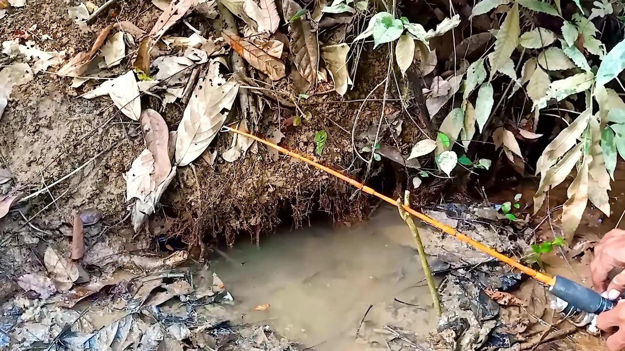 把饵送到鱼的家里去。