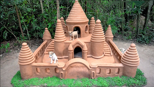 狗狗流落荒野,山里大叔建造动物城堡,为狗狗安了新家