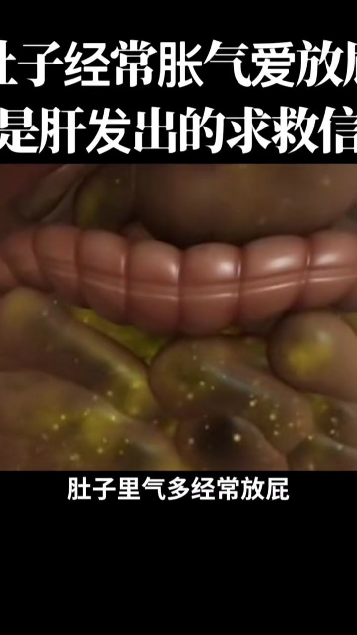 肚子里有气经常放屁 这是肝发出的求救信号