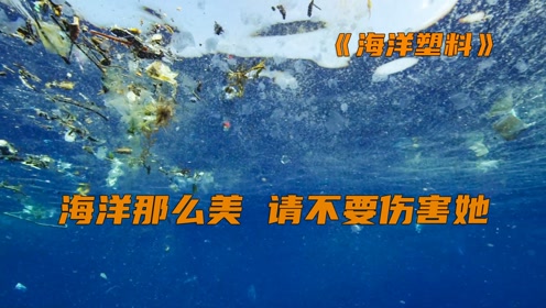 会让它们窒息,保护大海从身边做起,纪录片《塑料海洋》#国庆好片
