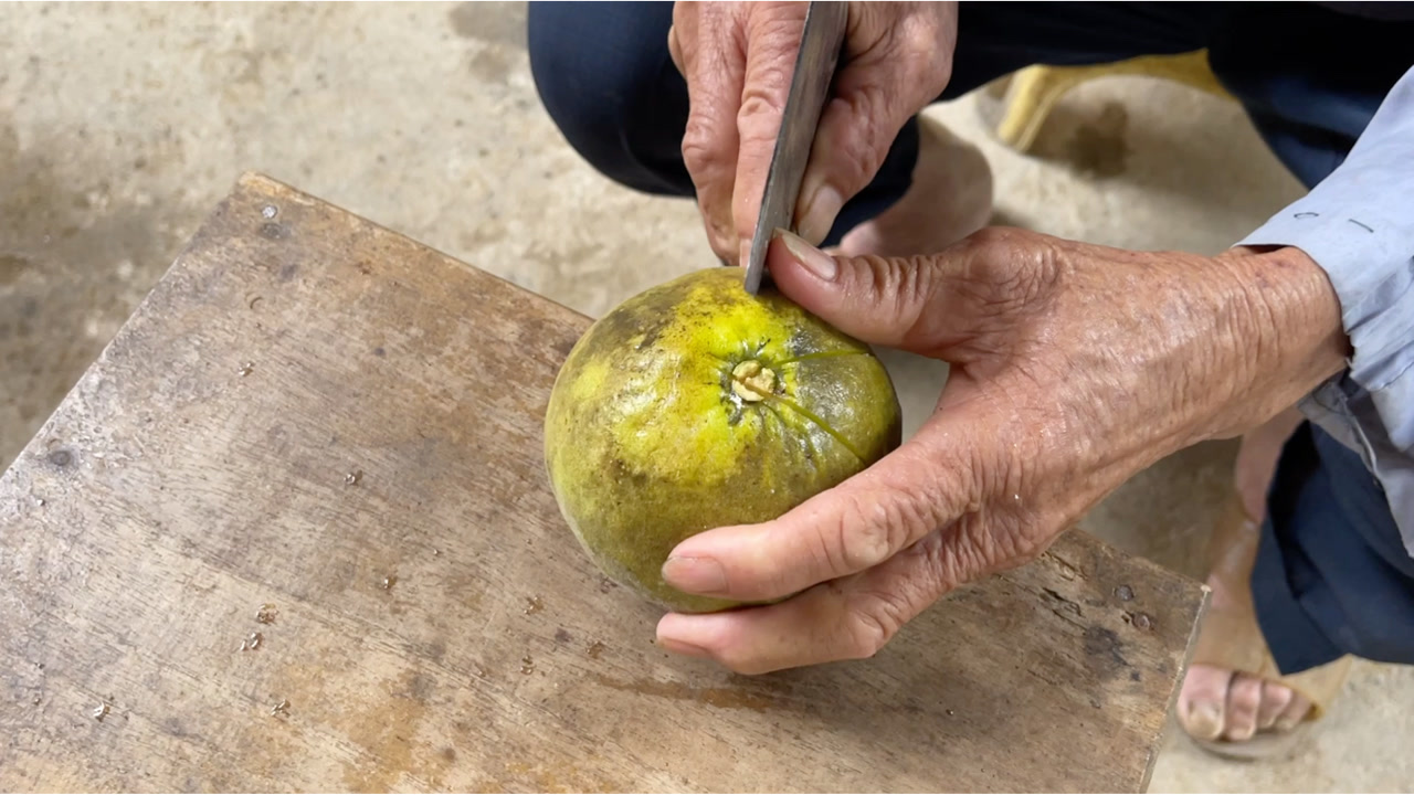 广东农村大爷，专业做化橘红七爪50年，手法犀利独特与众不同