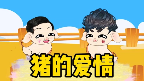 【沙雕动画】公猪和母猪的爱情,感人动画