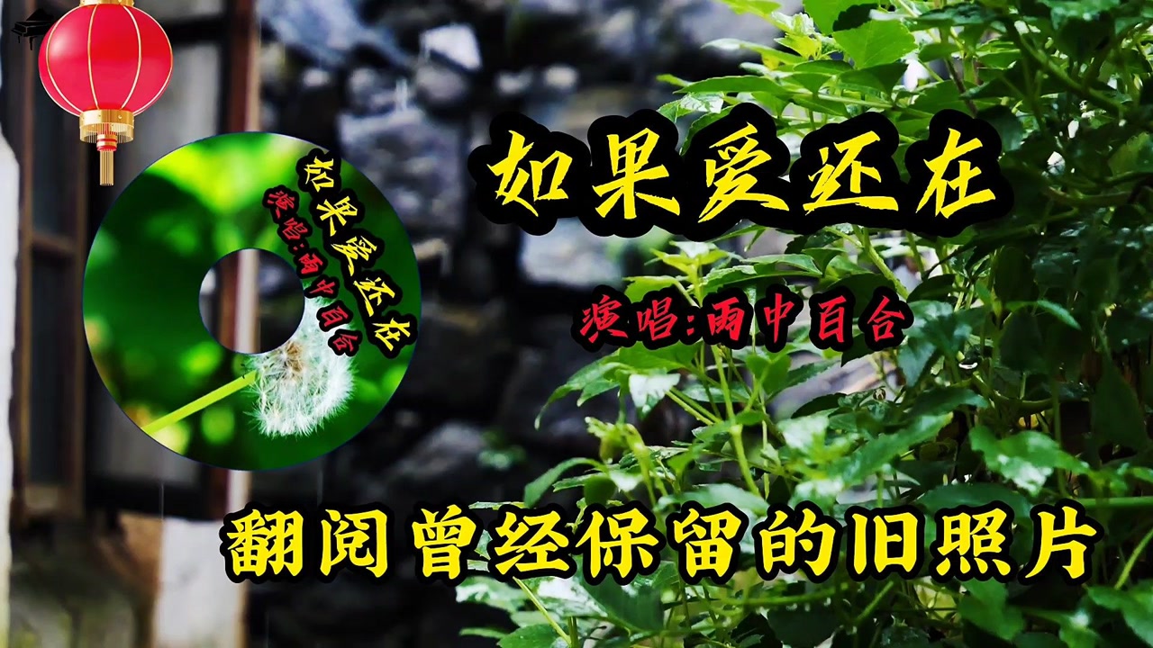 经典歌曲《如果爱还在》演唱:雨中百合