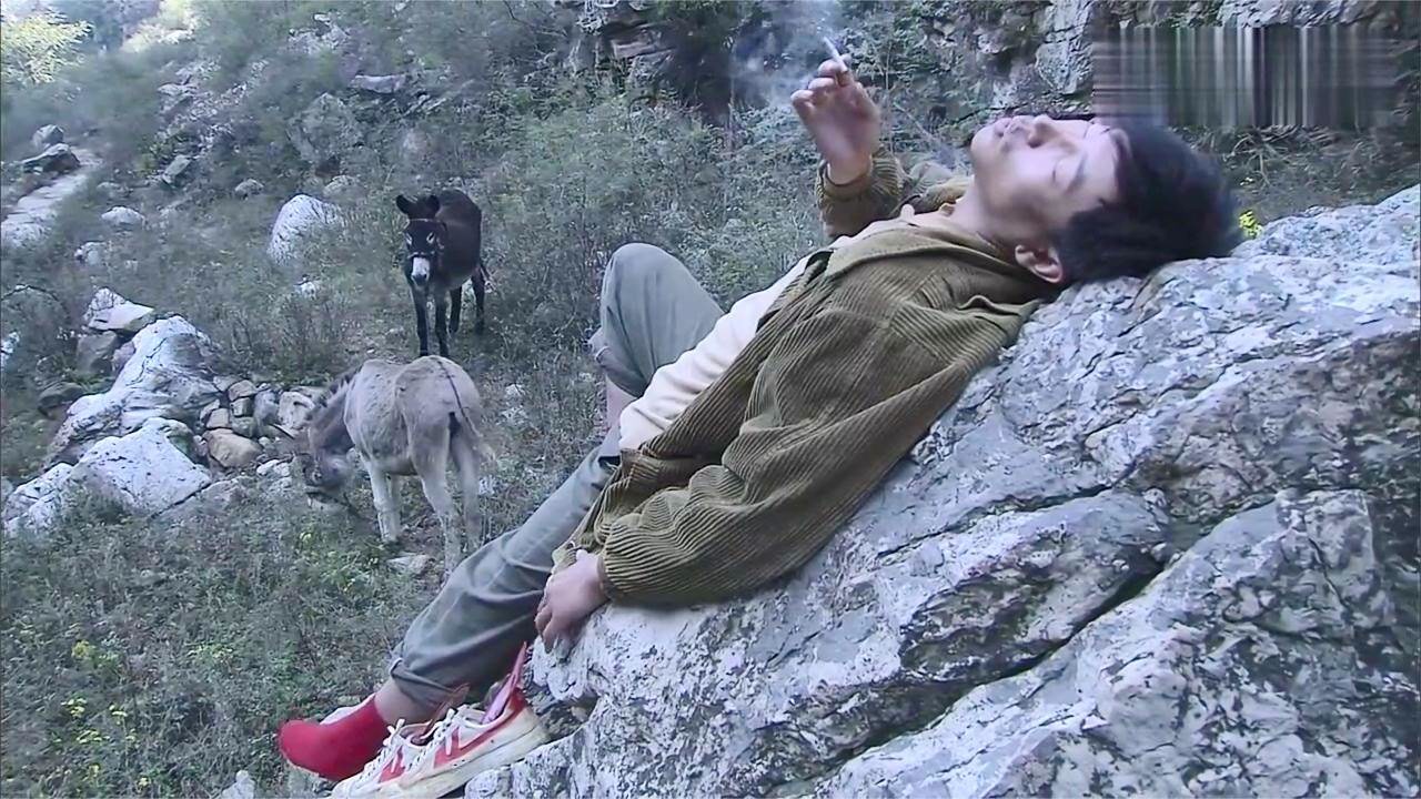 淘金谷:懒汉上山放驴,不料驴一泡尿呲出一块金矿石,这下好运了