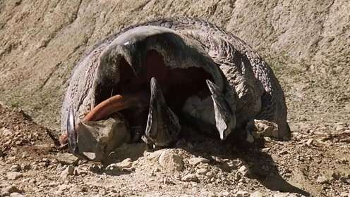 男子活捉受伤巨虫,肚子有3个大洞,钻出3头更恐怖怪物!