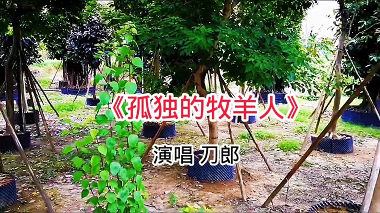 孤独的牧羊人