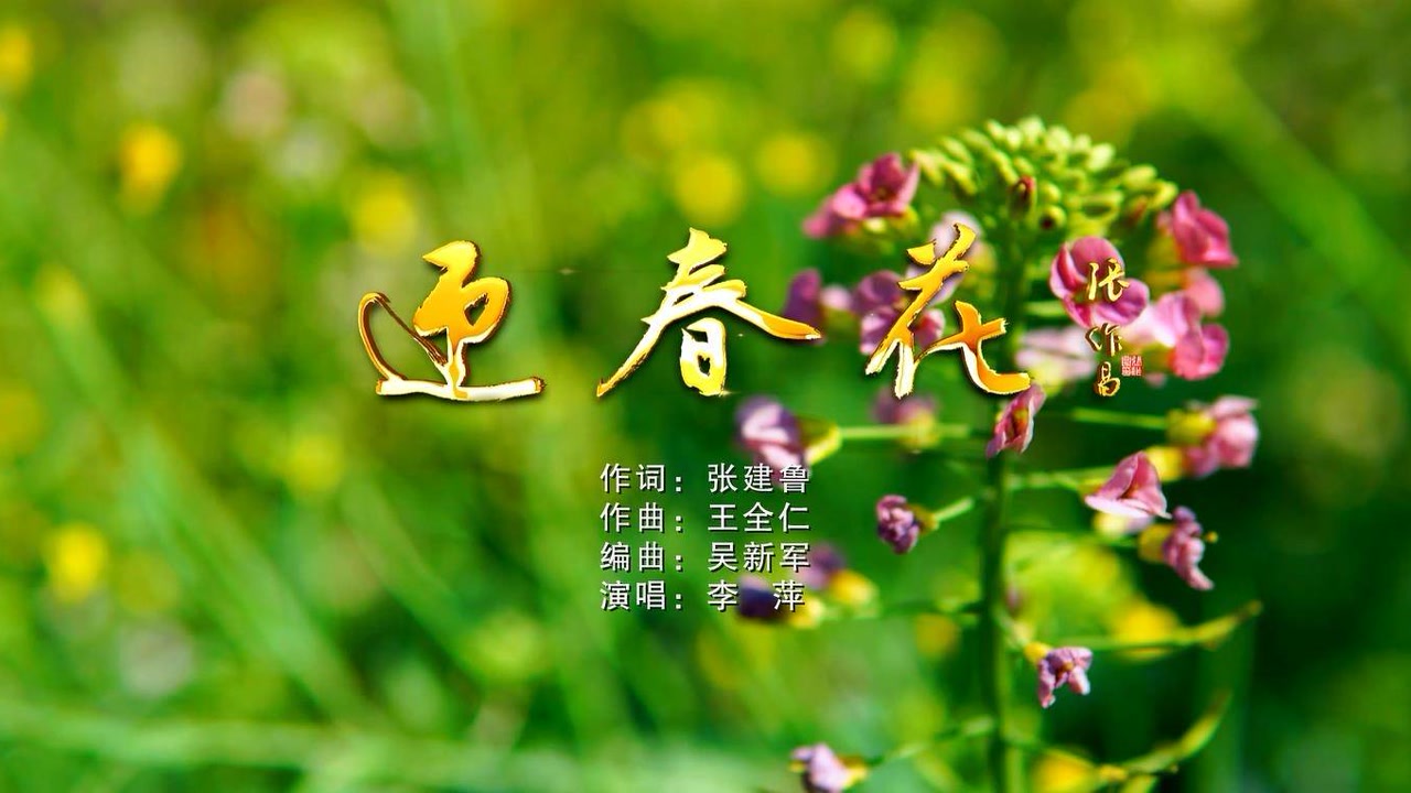 优秀原创歌曲展播《迎春花》