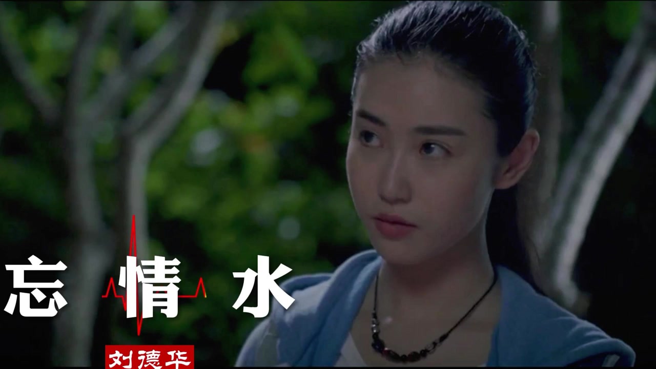 刘德华忘情水经典永流传