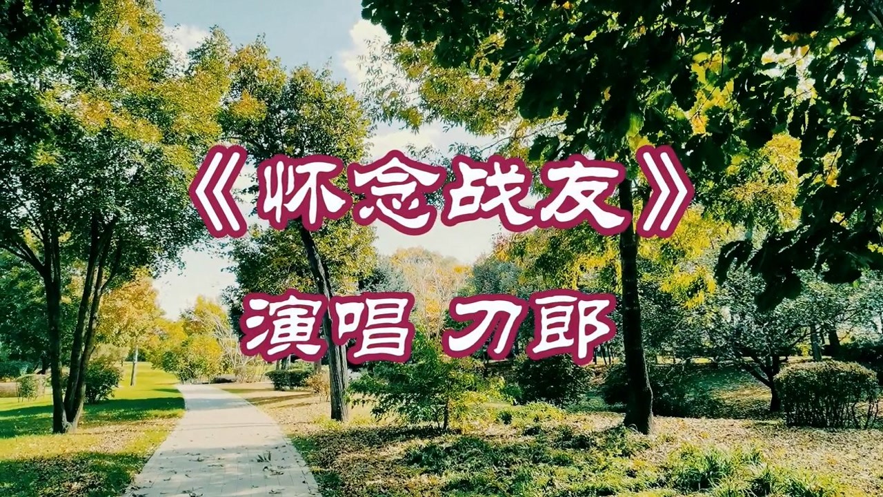 刀郎《怀念战友》深情感人,浓浓的战友情,令人怀念!