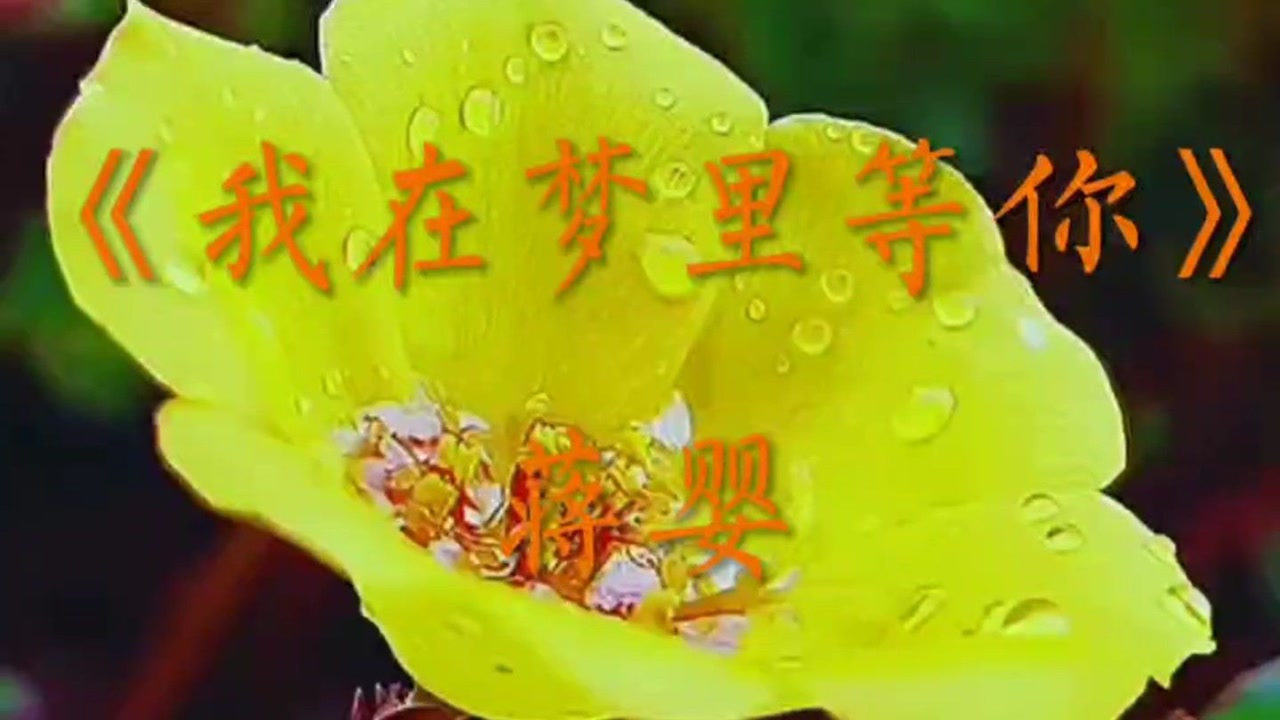 伤感情歌《我在梦里等你》蒋婴演唱