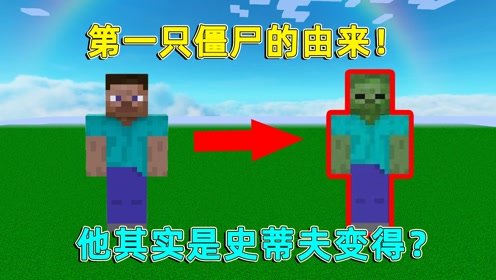 我的世界:第一只僵尸的由来!他其实是史蒂夫变得?真相太悲惨了