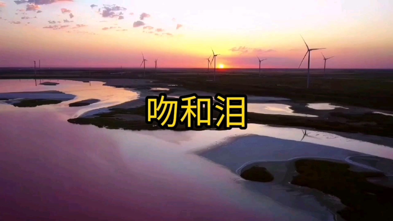 老歌经典《吻和泪》剪辑版