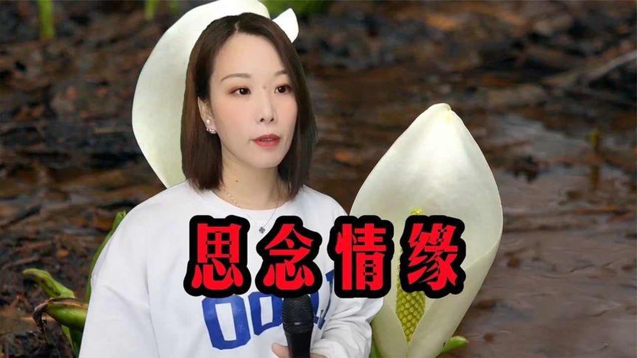 一首dj情歌对唱《思念情缘》,句句相思,满满的回忆,好听!