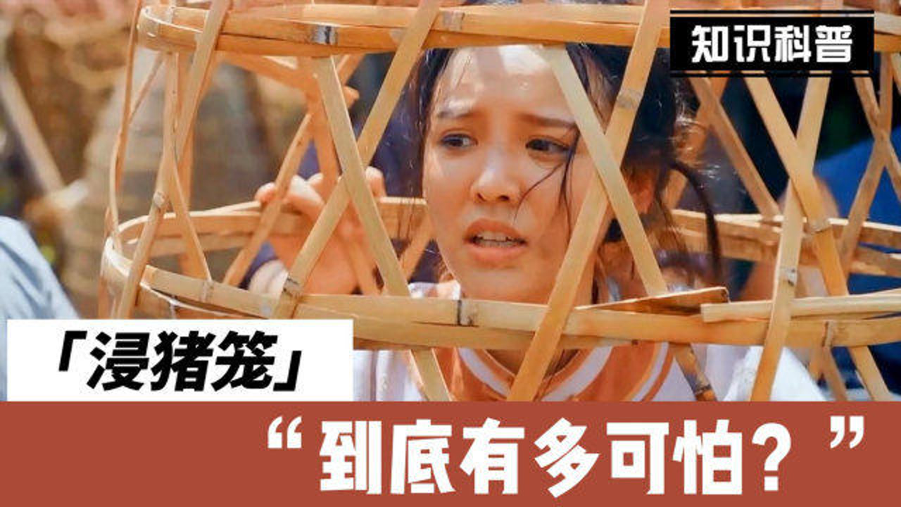 进猪笼,入水_大山谷图库