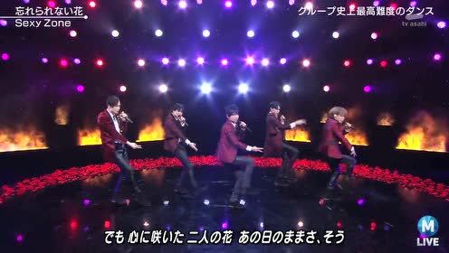 Zone白い花 腾讯视频