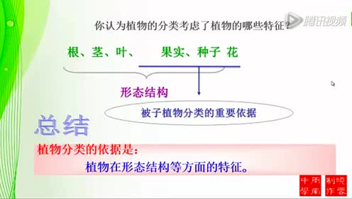 腾讯视频