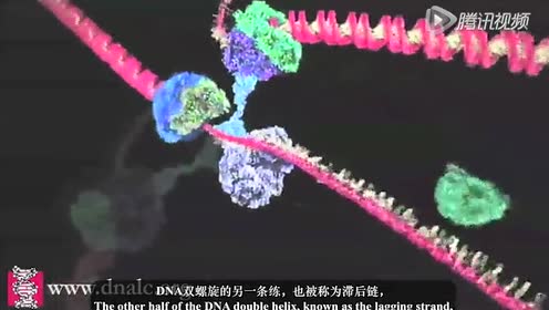 腾讯视频