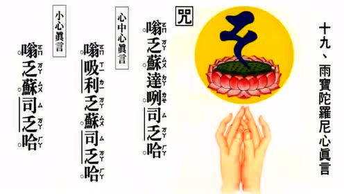 【妙禅讲堂】慧律法师-雨宝陀罗尼心真言(心中心真言)