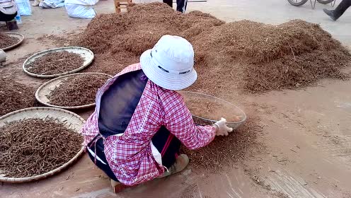 妈妈在灰尘弥漫中筛筛子一天,只为给城里租房的儿子分担水电费