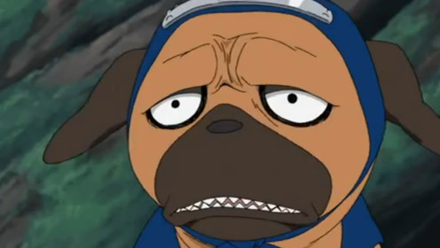 《火影忍者》卡卡西的帕克差点被超兽伪画干失业了