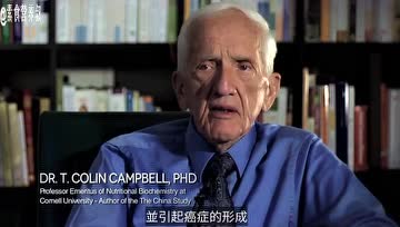 人真的需要吃动物蛋白质吗？