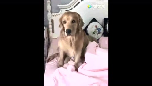 腾讯视频