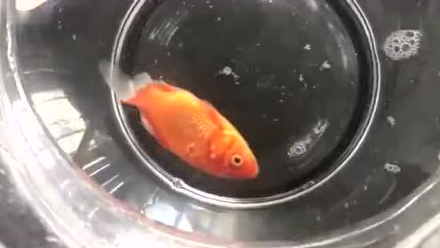 腾讯视频