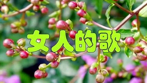 龙梅子的《女人的歌》唱进心窝里,越听越醉!