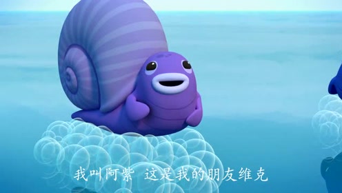 海底小纵队:哇塞达西西遇到了冲浪蜗牛 并带回去让队员们看看