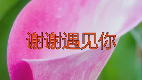 高安一首《谢谢遇见你》,唱尽人间百态,值得一听