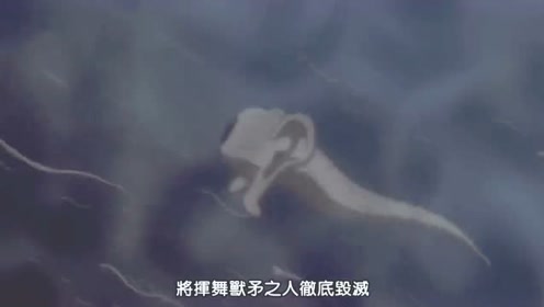 腾讯视频